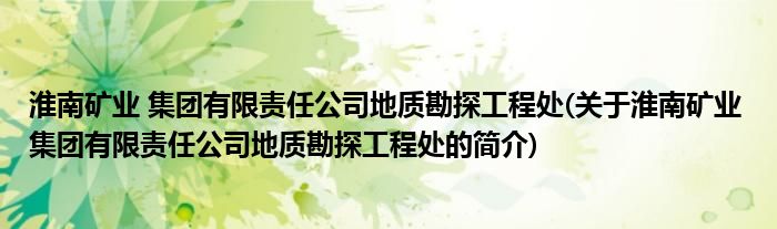 云顶集团公司淮南矿业 集团有限责任公司地质勘探工程处(关于淮南矿业 集团有限责任(图1)