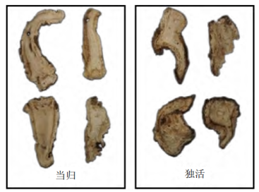 云顶集团·(中国)官方网站基于高光谱成像的当归与独活分类(图1)