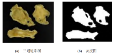 云顶集团·(中国)官方网站基于高光谱成像的当归与独活分类(图4)